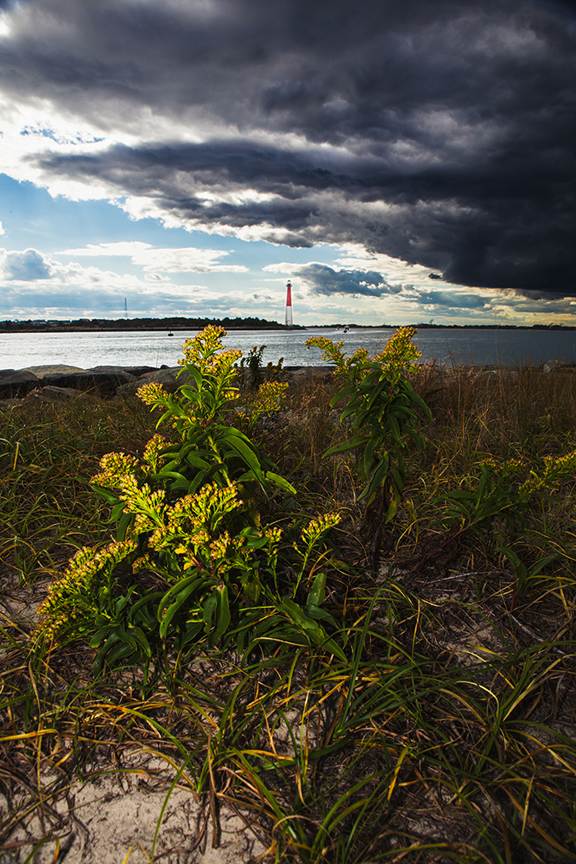 Island Beach State Park. Photo by Michael McCarthy.