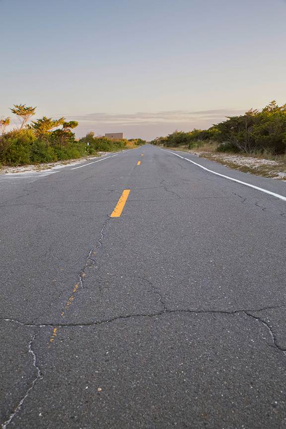 Island Beach State Park. Photo by Michael McCarthy.
