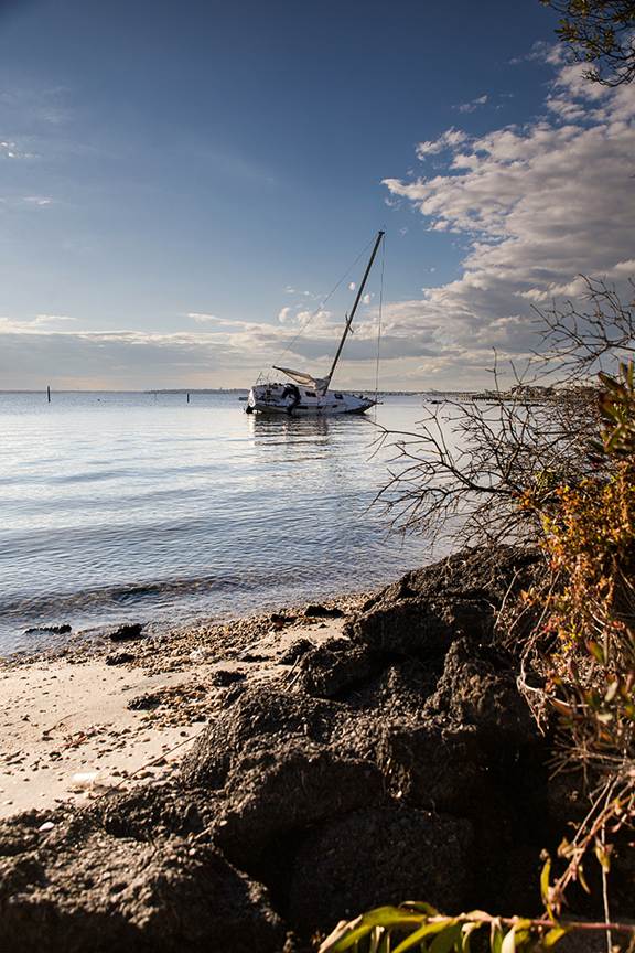 Island Beach State Park. Photo by Michael McCarthy.