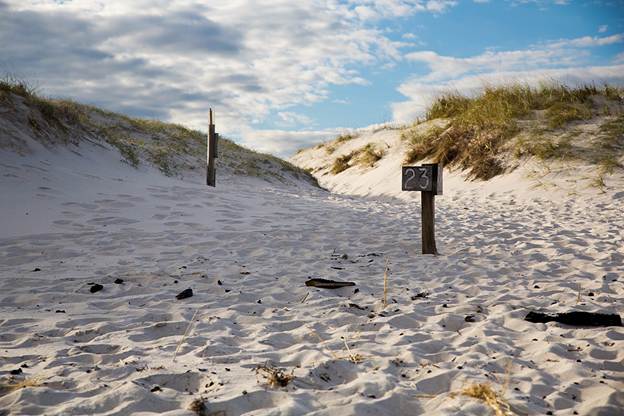 Island Beach State Park. Photo by Michael McCarthy.