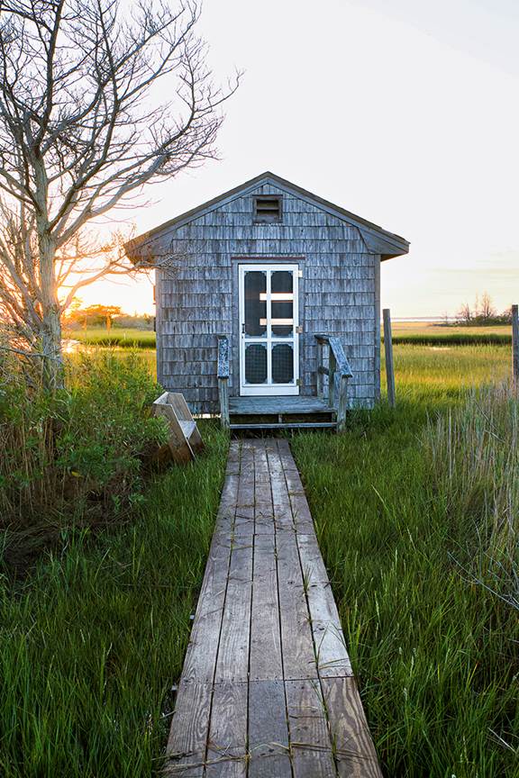 Island Beach State Park. Photo by Michael McCarthy.